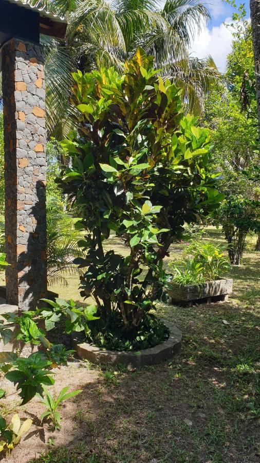 Les Citronniers Bed & Breakfast Ile Sainte-Marie Ngoại thất bức ảnh