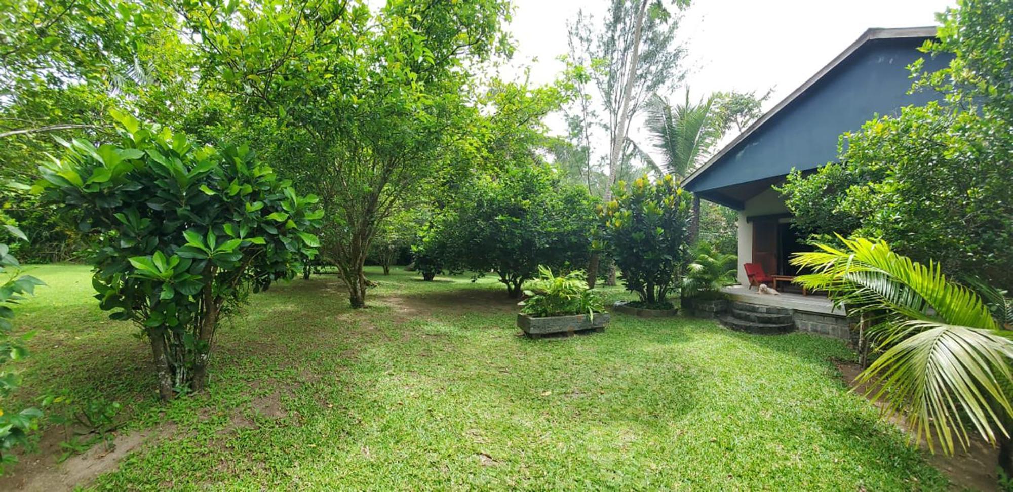 Les Citronniers Bed & Breakfast Ile Sainte-Marie Ngoại thất bức ảnh